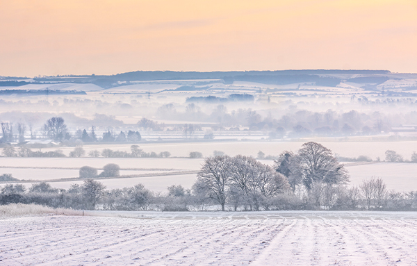 Winter