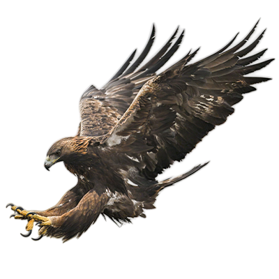 Golden eagle from Song of the Overcomer
