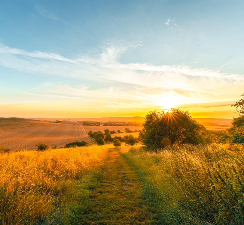 Winding countryside path in warm evening light

