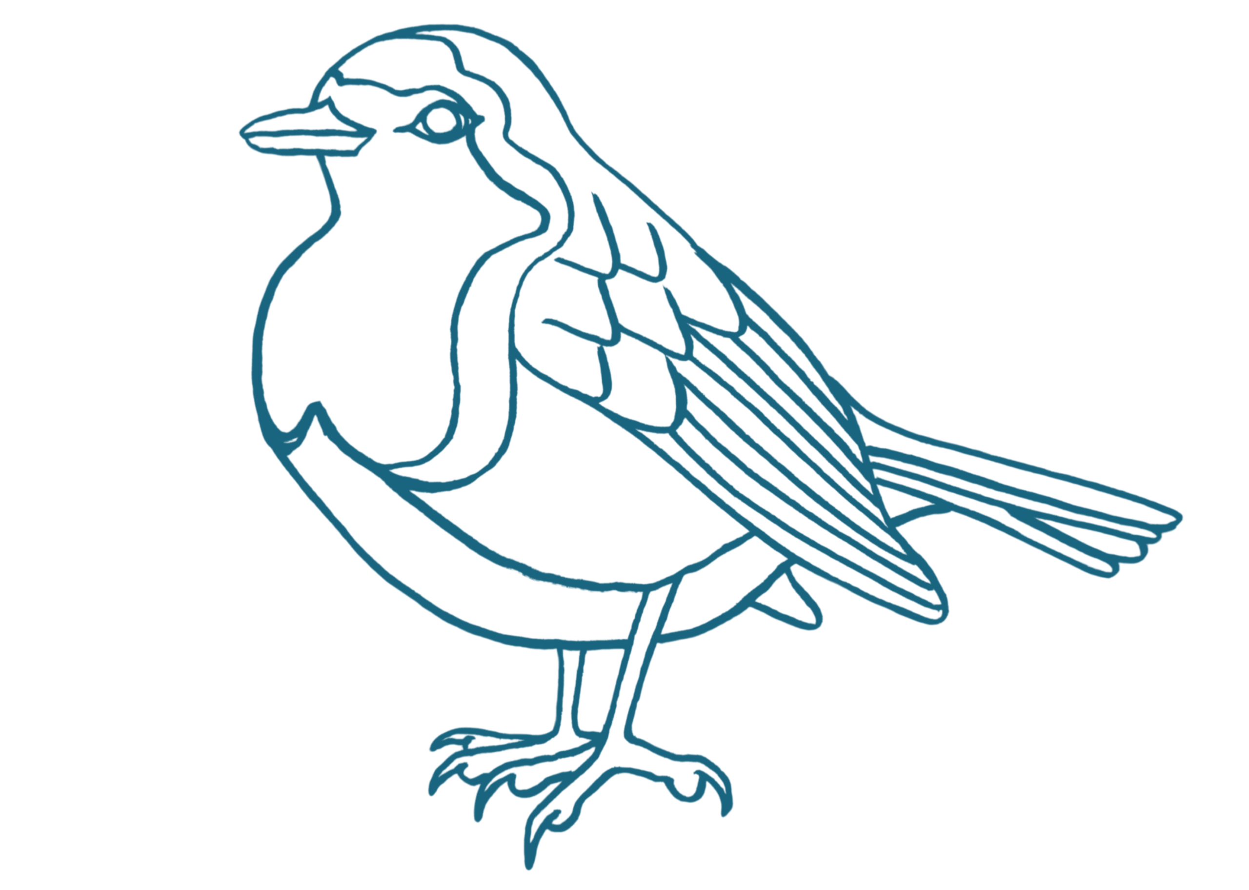 Illustration of Robin, the central bird in The Song of the Overcomer